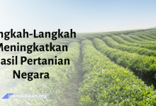 contoh karangan langkah langkah meningkatkan hasil pertanian negara