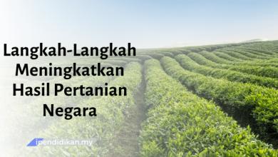 contoh karangan langkah langkah meningkatkan hasil pertanian negara