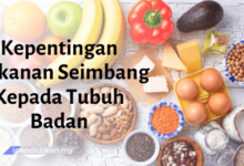 contoh karangan kepentingan makanan seimbang kepada tubuh badan