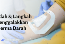 contoh karangan faedah dan langkah menggalakkan derma darah