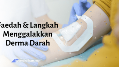 contoh karangan faedah dan langkah menggalakkan derma darah