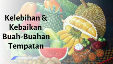 contoh karangan kebaikan dan kelebihan buah buahan tempatan