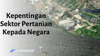 contoh karangan kepentingan sektor pertanian kepada negara