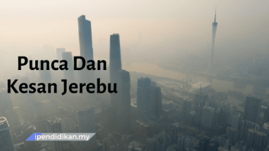 karangan punca dan kesan jerebu