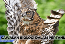 kawalan biologi dalam pertanian