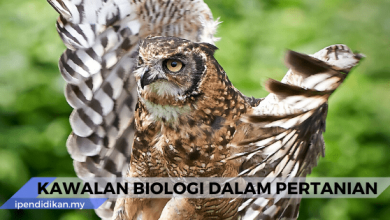 kawalan biologi dalam pertanian